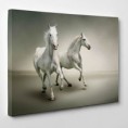 /album/referanslar-ve-yap%c4%b1lanlar/a1982247-833359596681614-1858335021-n-jpg1/